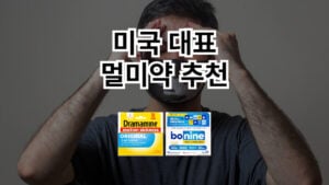미국대표멀미약추천